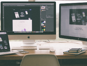 Freelancer